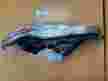 Фара HLL TY1151B001 TOYOTA VENZA GV10 08-12 L+R