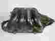 Коллектор впускной TOYOTA RAV4 ACA21 1AZFE (Контрактный)