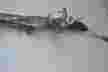 Рейка рулевая MAZDA AXELA BLEFP LF (Контрактный) 40951413