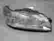 Фара PEUGEOT 306 7DRFV Перед Прав (Контрактный) 68000469