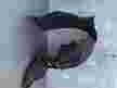 Подкрылок MAZDA CX-5 KE2FW 2014г Перед Лев (Контрактный) 94603306