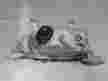 Фара TOYOTA BB NCP31 Перед Лев 52032 (Контрактный) 03344605