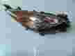 Фара MAZDA MAZDA3 BL 10041343 Перед Прав (Контрактный) 3351505