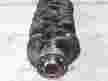 Коленвал TOYOTA 3L (Контрактный) 65243893 1340154060