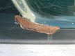 Дверь 5-я TOYOTA LAND CRUISER 100 (Контрактный) 40951844