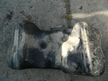 Бак топливный NISSAN X-TRAIL T31 (Контрактный) 81531930