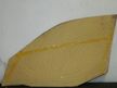 Стекло двери  XYG BOB15R+TKRVG NISSAN SUNNY N101 Перед Прав