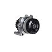 Помпа водяная NSP NSP0803L121011P SKODA Rapid