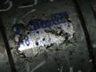 Стартер TOYOTA 3SFE (Контрактный) 2782903