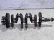 Коленвал NISSAN QG15DE (Контрактный) 65243785