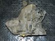 МКПП DAEWOO MATIZ F8CV (Контрактный) 40951360
