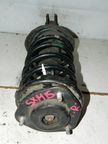 Стойка подвески TOYOTA NADIA SXM15 Перед Прав (Контрактный) 45989046