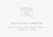 Ноускат TOYOTA CAMRY ACV40 2009-2011 (Контрактный)