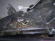 Фара TOYOTA RAV4 AXAA52 Перед Лев 4287 (Контрактный) 79591555