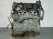Двигатель NISSAN BLUEBIRD SYLPHY TG10 QR25DD (Контрактный) 45990270