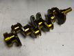Коленвал GENERAL PARTS 1100A135 MITSUBISHI L200 4D56-U