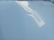 Капот MAZDA MAZDA3 BL (Контрактный) 10425602