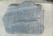 Бак топливный HONDA CIVIC FD (Контрактный) 81531998