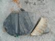 Бак топливный TOYOTA STARLET EP82 (Контрактный) 81531941