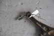 Рычаг подвески HONDA CIVIC EG4 Перед Прав (Контрактный) 45992607