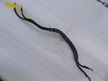 Провод массы INFINITI G37 VQ37VHR (Контрактный) 79768865