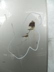 Дверь HONDA FIT ARIA GD8 Зад Прав (Контрактный) 72355704