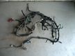 Проводка двигателя TOYOTA CAMRY ACV30 2AZFE (Контрактный) 3779100007
