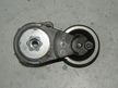 Натяжитель ремня NISSAN X-TRAIL NT31 MR20DE (Контрактный) 22117023