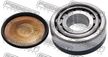 Заглушка поворотного кулака NISSAN 4004001J00