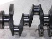 Коленвал TOYOTA 1NT (Контрактный) 65243862