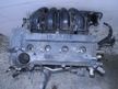 Двигатель TOYOTA RAV4 ACA36 2AZFE (Контрактный) 18029602