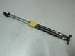 Амортизатор багажника MITSUBISHI DIAMANTE F31A (Контрактный) 81528835