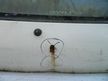 Дверь 5-я TOYOTA STARLET EP82 (Контрактный) 40951785