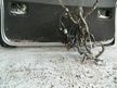 Дверь 5-я HONDA ACCORD CM2 (Контрактный) 72355494
