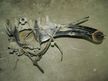 Ступица MAZDA MAZDA3 BK Зад Прав (Контрaктный) 79591254