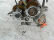 Головка блока цилиндров TOYOTA 5EFE (Контрактный) 72367141