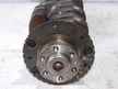 Коленвал NISSAN QG15DE (Контрактный) 65243982
