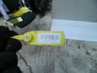 Балка подвески HONDA FIT GD3 Зад (Контрактный) 40951699