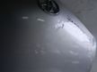 Капот TOYOTA PRIUS NHW20 (Контрактный) 79591581