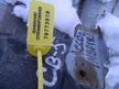 Рамка радиатора HONDA ACCORD INSPIRE CB5 (Контрактный) 79773919