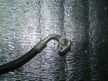 Трубка кондиционера TOYOTA ALPHARD 2AZFE (Контрактный) 33795604