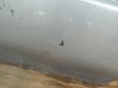 Дверь TOYOTA CAMRY SV40 Перед Прав (Контрактный) 72355743