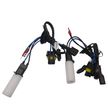 Лампа ксеноновая INTERPOWER H1 4300K (к-т 2шт)