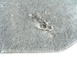 Обшивка крышки багажника TOYOTA 6471902071 TOYOTA COROLLA ZZE120 4ZZFE (Б/У)