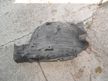 Подкрылок INFINITI EX35 J50 Перед Лев (Контрактный) 1007200100