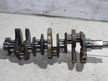 Коленвал NISSAN VQ20DE (Контрактный) 65243872