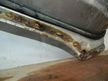 Дверь TOYOTA LITE ACE CM40 Перед Прав (Контрактный) 72355860