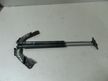 Амортизатор багажника NISSAN AWENIR W11 (Контрактный) 81532165