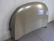 Капот JORDEN JH03TXL21043 EXEED TXL 2021-
