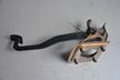 Педаль тормоза TOYOTA CAMRY CV30 (Контрактный) 45990686